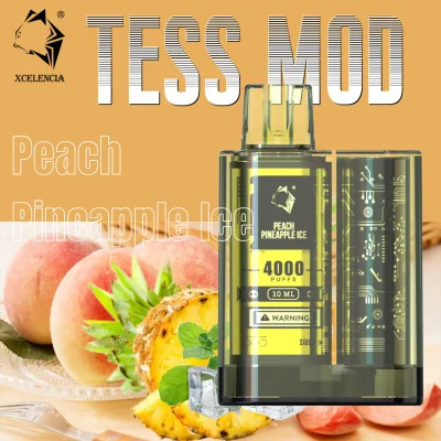 Tess Mod Xcelencia New Design 6000puffs 2% Nic Wholesale I Disposable Vape